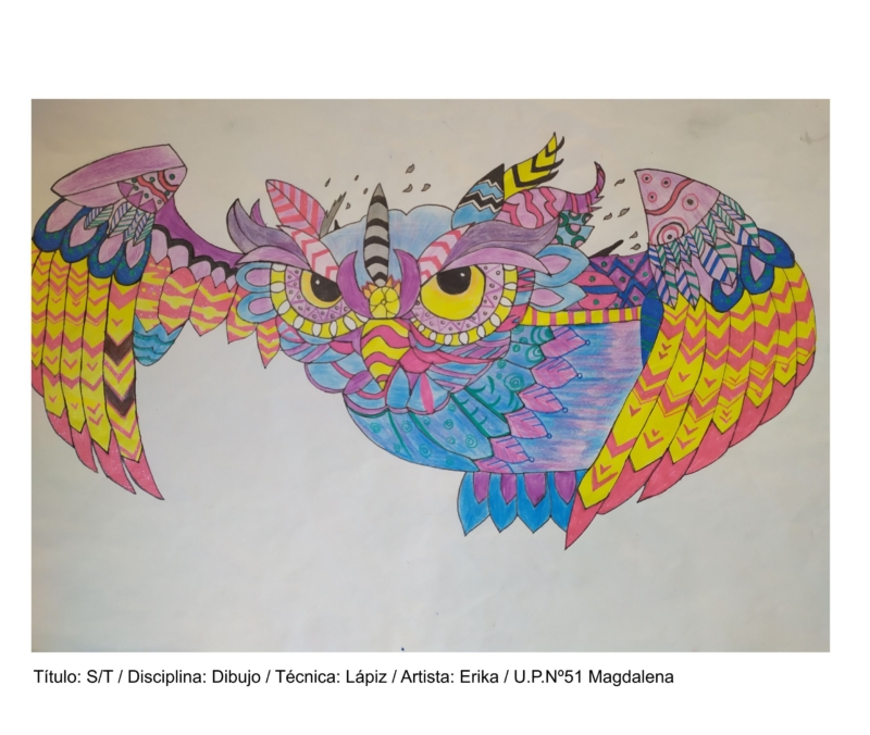 titulo-sin-titulo-disciplina-dibujo-tecnica-lapiz-artista-erika-upn51-magdalena