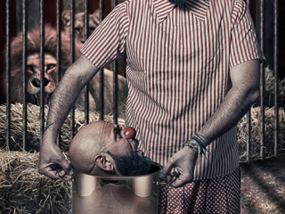 Clown Dream de F.J.Pineda