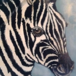 zebra