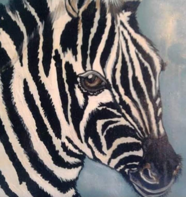 zebra